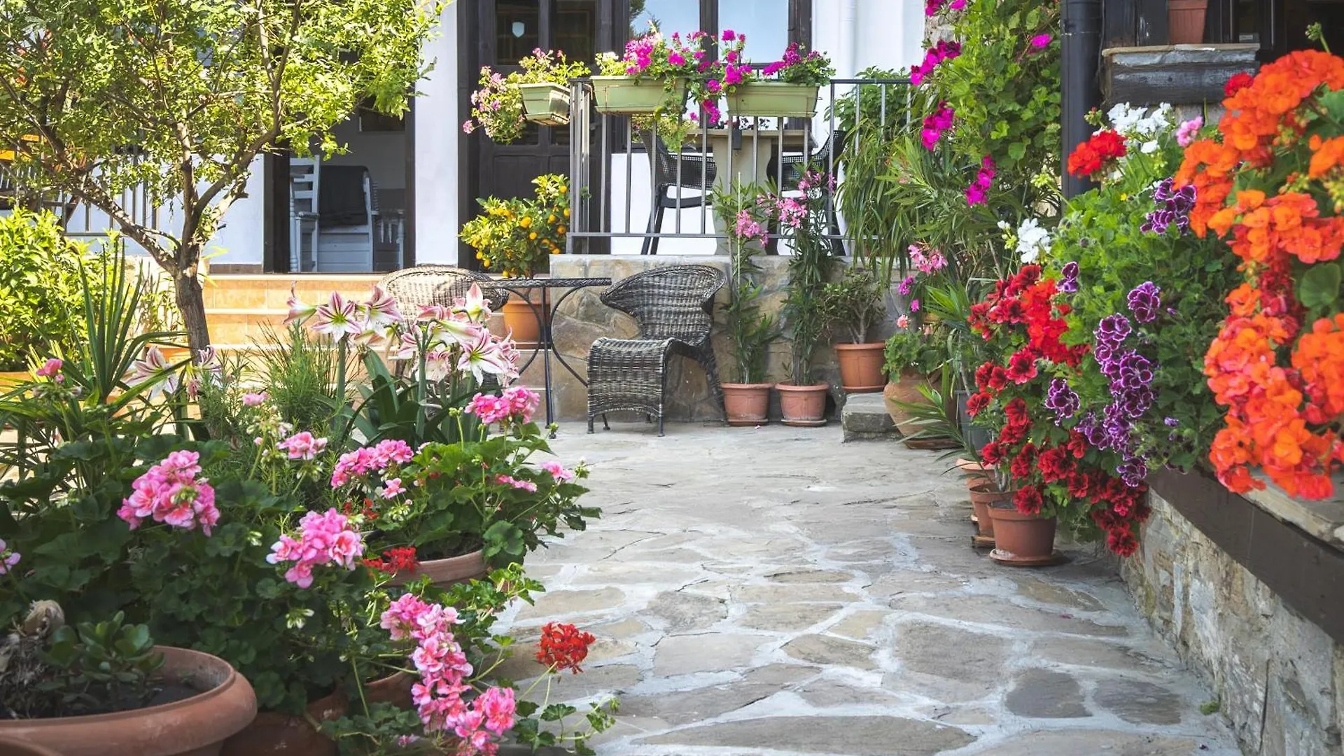 Hotel Villa Sol Sunny Beach Bulgaria